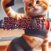 ヒメ日記 2026/09/19 11:03 投稿 ゆめ 尼妻（あまづま）