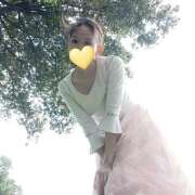 なでこ 緑が、 Salon du M-えっちなお姉さんのM性感デリバリー-五反田店