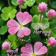 ヒメ日記 2026/04/14 06:38 投稿 今田 けい(体験) 人妻の雫　福山店