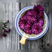 ヒメ日記 2026/04/15 15:18 投稿 今田 けい(体験) 人妻の雫　福山店