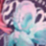 ヒメ日記 2026/04/16 20:52 投稿 れん バタフライ立川