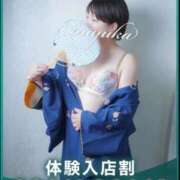 ヒメ日記 2026/04/17 11:15 投稿 ふゆか 沼津人妻花壇