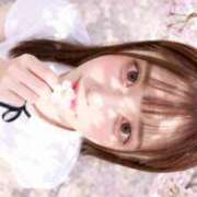 ヒメ日記 2026/04/17 08:39 投稿 りほ【密着する献身ご奉仕】 STELLA NEXT－ステラネクスト－