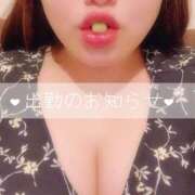 ヒメ日記 2026/06/26 20:10 投稿 なるみ 所沢東村山ちゃんこ