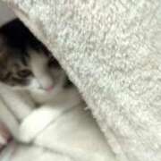 ヒメ日記 2026/04/14 11:22 投稿 Hisui(ひすい) AMATERAS(アマテラス)(福山)