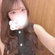ヒメ日記 2026/05/03 11:44 投稿 うさ アラモード