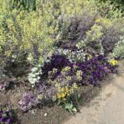 ヒメ日記 2026/04/14 10:39 投稿 りあ 素人妻御奉仕倶楽部Hip's松戸店