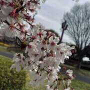 りあ 見れたかな〜？🌸 素人妻御奉仕倶楽部Hip's松戸店