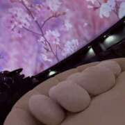 ヒメ日記 2026/04/15 18:19 投稿 りあ 素人妻御奉仕倶楽部Hip's松戸店