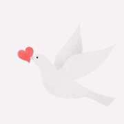 ヒメ日記 2026/04/15 21:29 投稿 りあ 素人妻御奉仕倶楽部Hip's松戸店