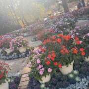 ヒメ日記 2026/04/17 07:59 投稿 りあ 素人妻御奉仕倶楽部Hip's松戸店