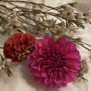 ヒメ日記 2026/04/18 08:09 投稿 りあ 素人妻御奉仕倶楽部Hip's松戸店