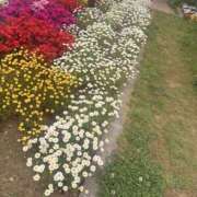 ヒメ日記 2026/04/23 09:49 投稿 りあ 素人妻御奉仕倶楽部Hip's松戸店