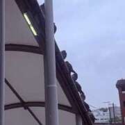 ヒメ日記 2026/04/23 19:24 投稿 りあ 素人妻御奉仕倶楽部Hip's松戸店