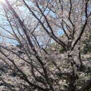 なな おはよ❣️ 東京メンズボディクリニック TMBC 上野店