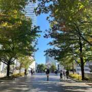 ヒメ日記 2026/04/20 22:30 投稿 あこ 丸妻 新横浜店