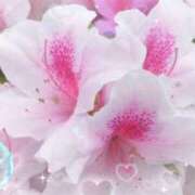 ヒメ日記 2026/04/25 17:44 投稿 富田 りお こあくまな熟女たち 本厚木店(KOAKUMAグループ)