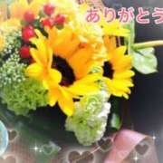 ヒメ日記 2026/05/28 19:17 投稿 富田 りお こあくまな熟女たち 本厚木店(KOAKUMAグループ)