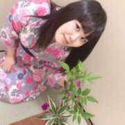 ヒメ日記 2026/07/20 08:00 投稿 ルチカ 飾窓