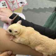 ヒメ日記 2026/07/30 22:24 投稿 ルチカ 飾窓