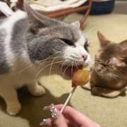 ヒメ日記 2026/04/30 14:49 投稿 みお 西川口マーメイド