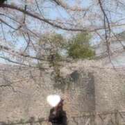 ヒメ日記 2026/05/01 14:01 投稿 えみり 即アポ奥さん〜名古屋店〜