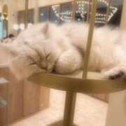 ヒメ日記 2026/05/20 14:10 投稿 えみり 即アポ奥さん〜名古屋店〜