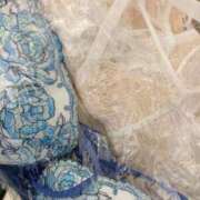 ヒメ日記 2026/04/27 08:55 投稿 しの 新橋・汐留人妻ヒットパレード（シンデレラグループ）