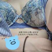 ヒメ日記 2026/05/14 04:00 投稿 しの 新橋・汐留人妻ヒットパレード（シンデレラグループ）