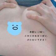 ヒメ日記 2026/05/25 12:43 投稿 しの 新橋・汐留人妻ヒットパレード（シンデレラグループ）