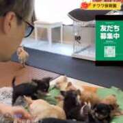 ヒメ日記 2026/06/02 23:20 投稿 沙恵 VIOLET(ヴァイオレット)