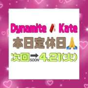 ヒメ日記 2026/04/21 00:16 投稿 ダイナマイトケイトテロに注意 俺のジュニア