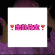 ヒメ日記 2026/04/30 12:11 投稿 ダイナマイトケイトテロに注意 俺のジュニア