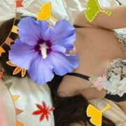 らん こんばんは✨ 素人妻達☆マイふぇらレディー