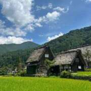 ヒメ日記 2026/08/09 13:36 投稿 澄愛（すあ） NOA（ノア）