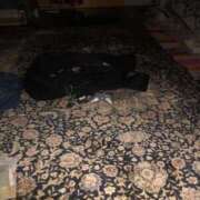 ヒメ日記 2026/04/20 21:16 投稿 蝶野 ももか 夜這い専門 発情する奥様たち梅田店