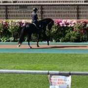 ヒメ日記 2026/04/24 12:16 投稿 ちさと ニューヨークニューヨーク