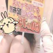 ヒメ日記 2026/05/02 17:26 投稿 るるか 華椿(水戸)