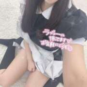 井上はるか ?めいどさん? エステdeシンデレラ横浜（シンデレラグループ）