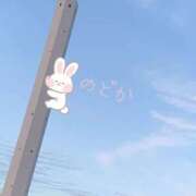ヒメ日記 2026/05/26 19:08 投稿 のどか 素人妻達☆マイふぇらレディー