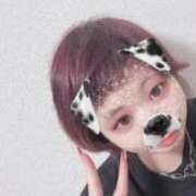 ヒメ日記 2026/04/21 16:32 投稿 わかば 奥様鉄道69 岡山店