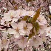 ヒメ日記 2026/05/01 00:43 投稿 もか 花火-hanabi-(すすきの)