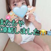 ヒメ日記 2026/07/09 10:48 投稿 ひかり サンキュー沼津店（サンキューグループ）