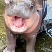 るん 🎀50分💕 蒲田ウルトラギャラクシー