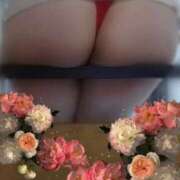 ヒメ日記 2026/04/23 12:37 投稿 ちとせ 妻天 京橋店