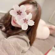 ヒメ日記 2026/04/24 12:02 投稿 あこ Ace(エース)