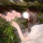 ヒメ日記 2026/04/20 05:51 投稿 星恋-Seren- 姉新地