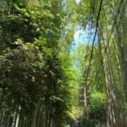 ヒメ日記 2026/06/13 19:40 投稿 はな 池袋しろパラ