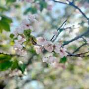 ヒメ日記 2026/04/16 19:46 投稿 あお 吉祥寺角海老