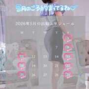 ヒメ日記 2026/04/23 20:36 投稿 あお 吉祥寺角海老